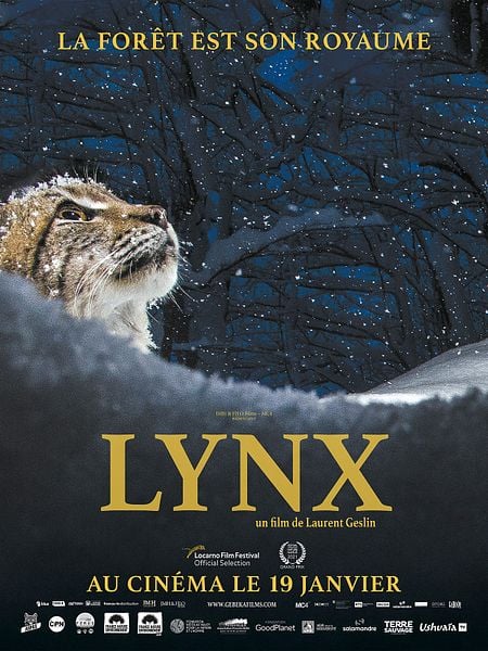 Affiche du film Lynx