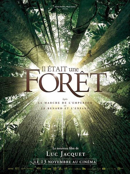 Affiche du film Il était une forêt