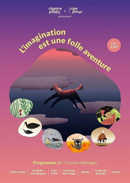 Affiche du film L’imagination est une folle aventure