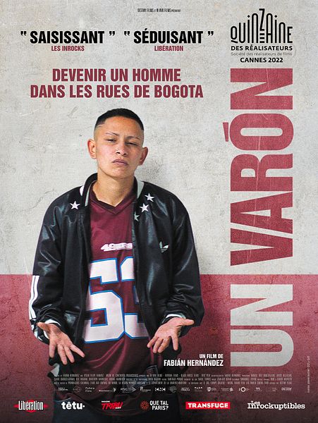 Affiche du film A Male