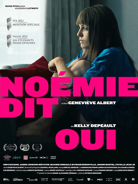 Affiche du film Noémie dit oui