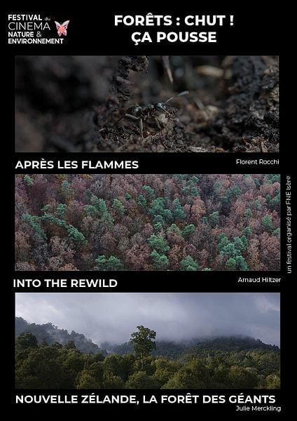Affiche du film Forêts : Chut ! Ça pousse