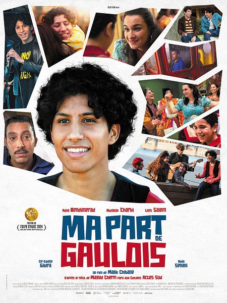 Affiche du film Ma part de Gaulois