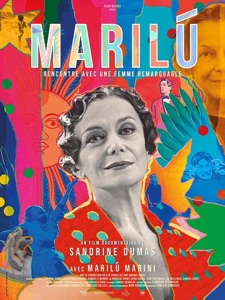 Affiche du film Rencontre avec une femme remarquable