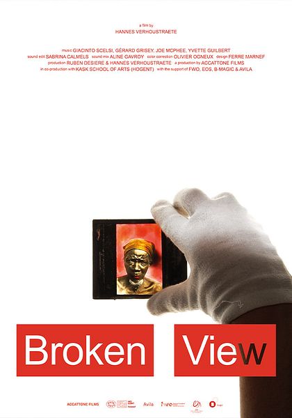 Affiche du film Broken View