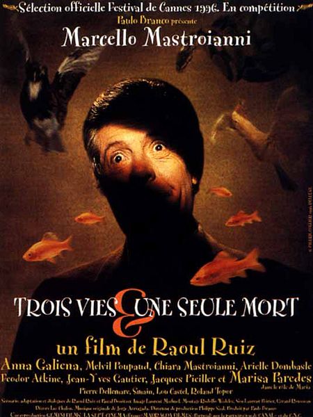 Affiche du film Trois vies et une seule mort