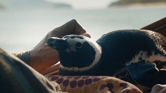 Mon ami le petit manchot Bande-annonce