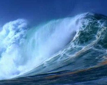 Water, le pouvoir secret de l’eau