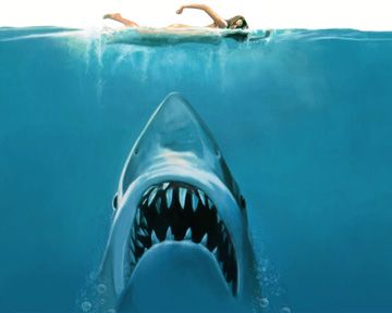 Allez viens, elle est bonne ! Non merci...  Top 5 des raisons pour lesquelles il vaut mieux ne pas se baigner.