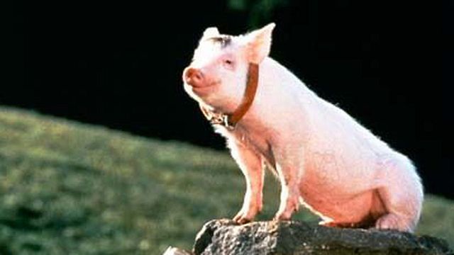 "J'y crois pas, tu mattes encore un film cochon ? Non ! Enfin si, mais bon..."