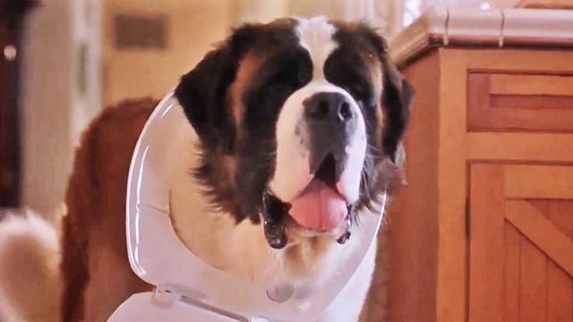 Beethoven 4 Bande-annonce