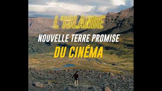 Plongée dans une industrie du cinéma pas comme les autres.