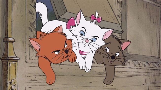 Disney+ : Les Aristochats, Oliver et Compagnie 5 films pour les amoureux  des chats - Actus Ciné - AlloCiné