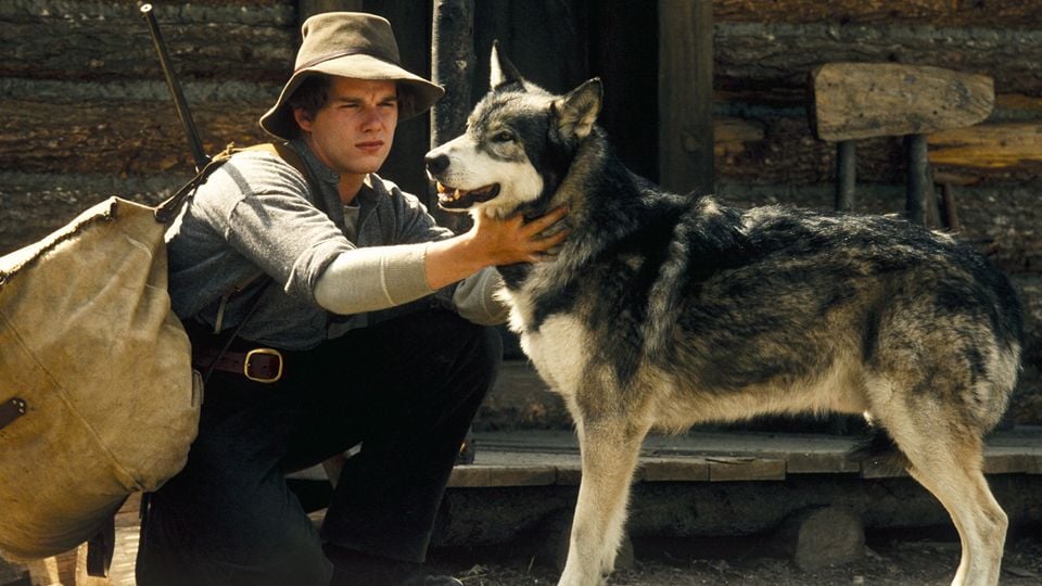 Les Loups Du Millénaire Série Top 5 N°777 - Les loups - AlloCiné
