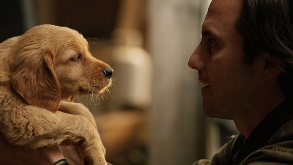 Dans Les Yeux D'enzo Bande Annonce