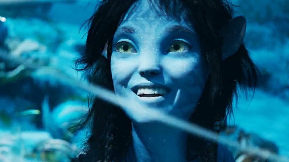 Avatar 2devient le film le plus vu en France en 2022 avec 687 millions  dentrées seulement 15 jours après sa sortie  midilibrefr