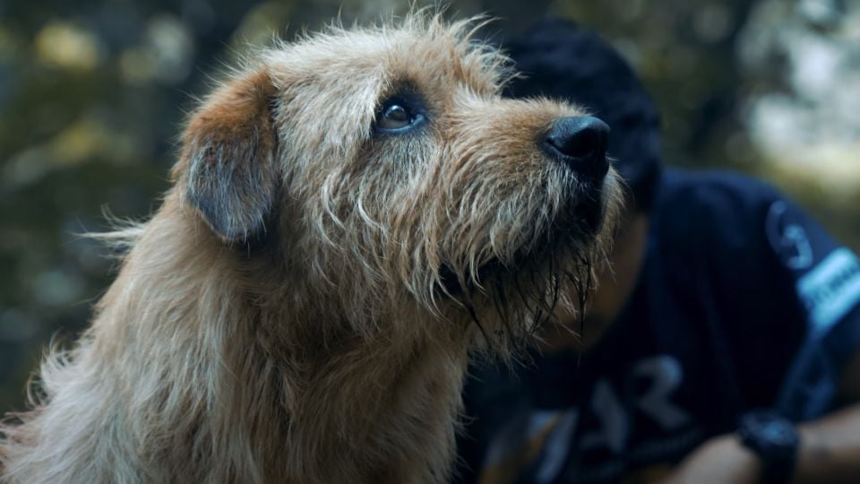 Trailer du film Arthur the King - Arthur the King Bande-annonce VO