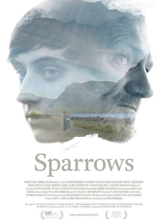 Sparrows